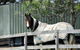 Bairnsdale - Granite Creek Stays - thumb 3