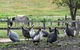 Bairnsdale - Granite Creek Stays - thumb 4