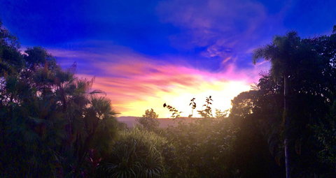 Daintree Manor B&B - Accommodation Guide 3