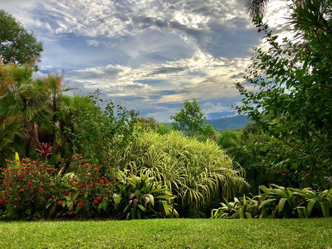 Daintree Manor B&B - Accommodation Guide 2