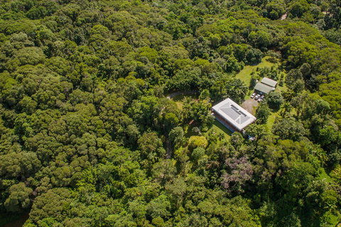 Daintree Manor B&B - Accommodation Guide 14