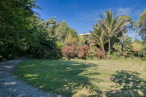 Daintree Manor B&B - Accommodation Guide 19