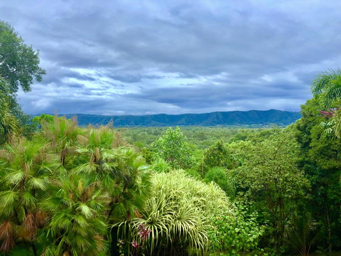 Daintree Manor B&B - Accommodation Guide 0