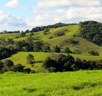 Maleny Springs Farm - Accommodation Asia