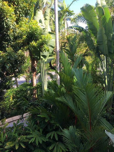 Port Douglas Apartments - Adults Only Oasis - Accommodation Guide 1