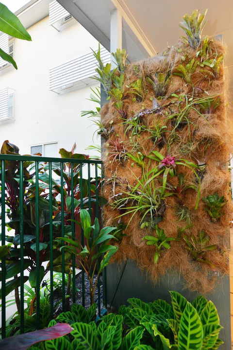 Port Douglas Apartments - Adults Only Oasis - Accommodation Guide 27