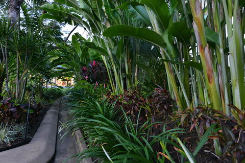 Port Douglas Apartments - Adults Only Oasis - Accommodation Guide 9