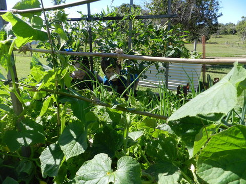 Hay Point Country BnB - Accommodation Guide 17