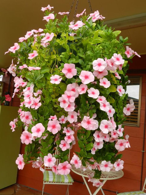 Hay Point Country BnB - Accommodation Guide 19