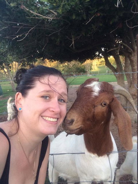 Hay Point Country BnB - Accommodation Guide 13