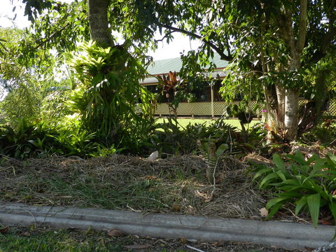 Hay Point Country BnB - Accommodation Guide 23