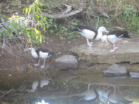 Hay Point Country BnB - Accommodation Guide 22