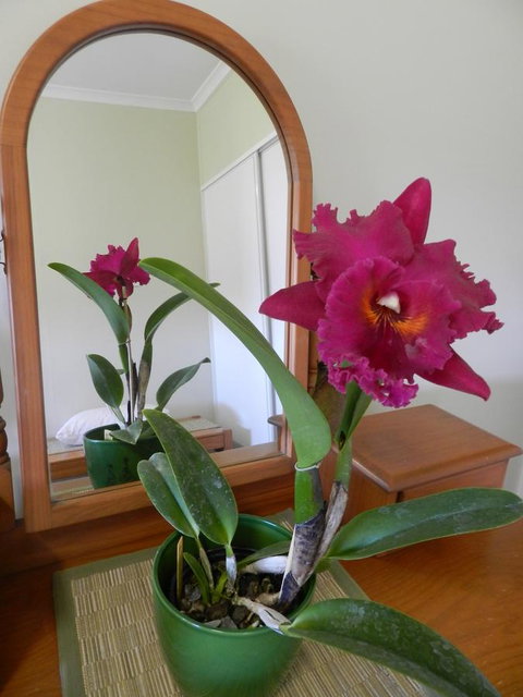 Hay Point Country BnB - Accommodation Guide 10