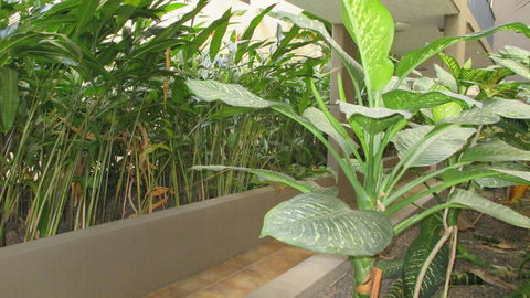 Edge Apartments Cairns - Accommodation Asia 39