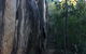 Tropical Palms Resort & 4WD Hire - thumb 16