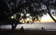 Tropical Palms Resort & 4WD Hire - thumb 12