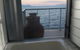 Best At Bright Point Absolute Waterfront Apartment - thumb 9