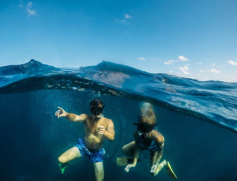 Manta Lodge YHA & Scuba Centre - Accommodation Asia 12