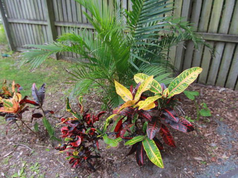 Beachside By Discover Stradbroke - Accommodation Asia 4