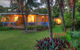 The Broken Banyan - thumb 10