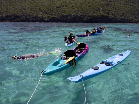 Pinetrees Lodge - Accommodation Asia 12