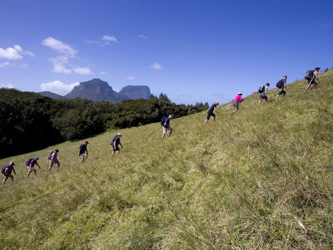 Pinetrees Lodge - Accommodation Asia 19