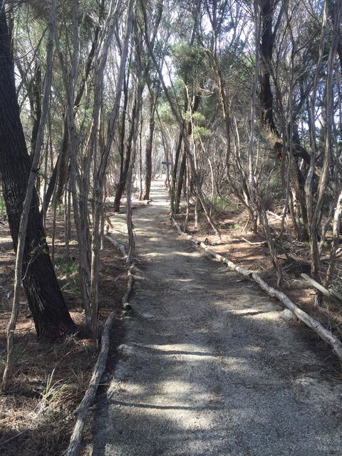 Flinders Island Glamping - Accommodation Asia 1