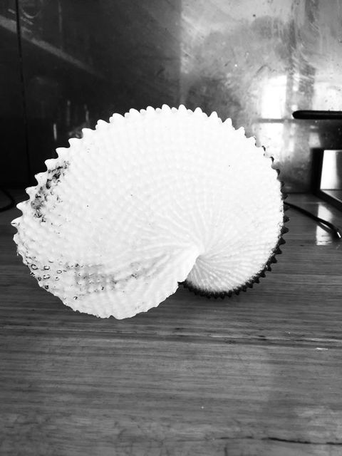 Flinders Island Glamping - Accommodation Asia 11