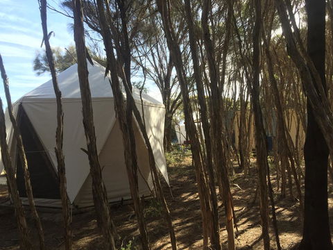 Flinders Island Glamping - Accommodation Asia 7