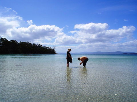 Bruny Island Escapes And Hotel Bruny - Accommodation Asia 36