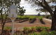 'In The Vines' Guest Cottage, Barossa Valley - thumb 0