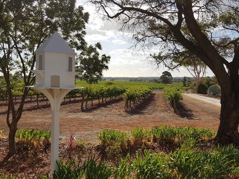 'In The Vines' Guest Cottage, Barossa Valley - Accommodation Asia 0