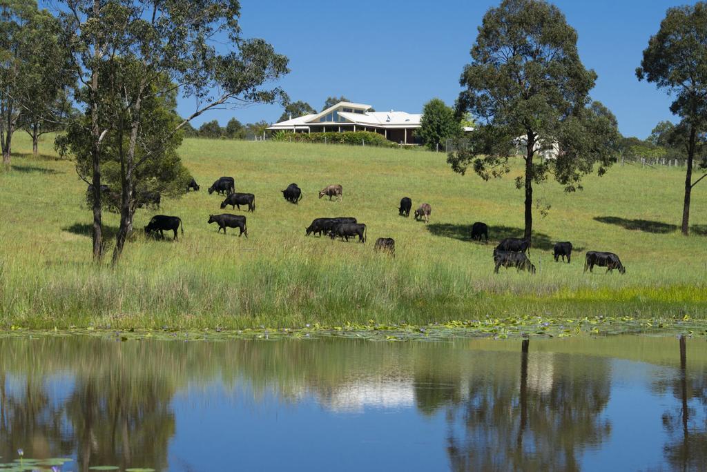 Wang Wauk NSW Accommodation Asia