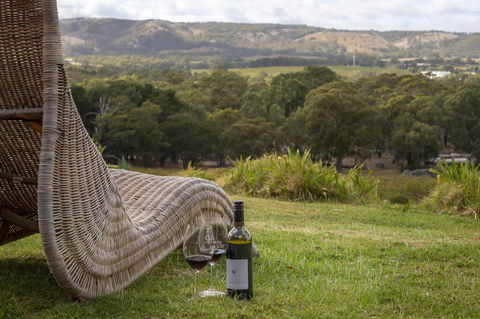 131 Your Vineyard Home In The Heart Of The Vale - Accommodation Asia 0