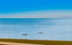 Beachfront Oasis With Private Pool And Nice Views - thumb 3