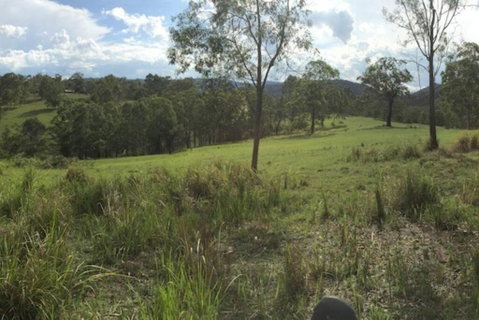 Charity Creek Retreat - Accommodation Guide 2