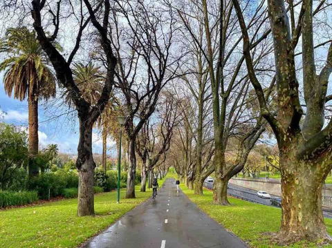 D124 Big Stay At Biggs - Accommodation Guide 2