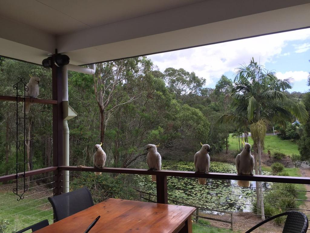 Upper Coomera QLD Accommodation China