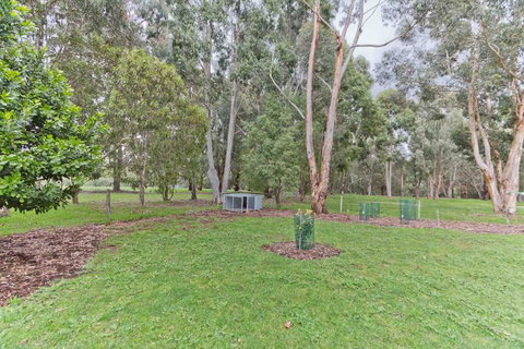 A Grape Escape - Accommodation China 3