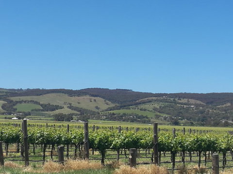 A Victor Harbour Retreat Aldinga Tony's Music Cottage - Accommodation Guide 3