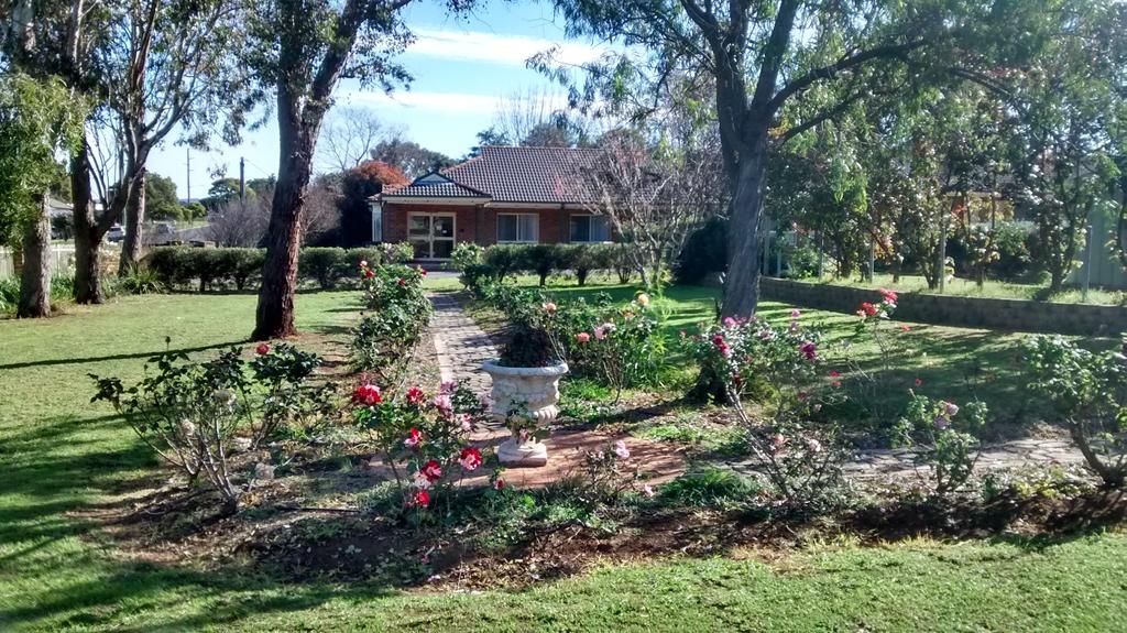 Aberdeen NSW Accommodation Asia
