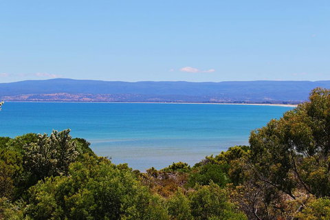 Acacia Cottage - Accommodation Asia 1