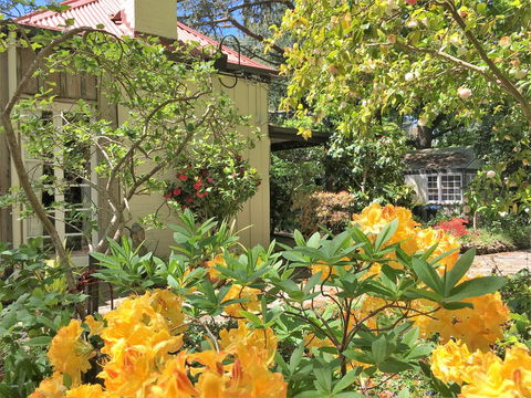 Adelaide Hills 'Camellia Cottage' - WiFi - Accommodation China 1