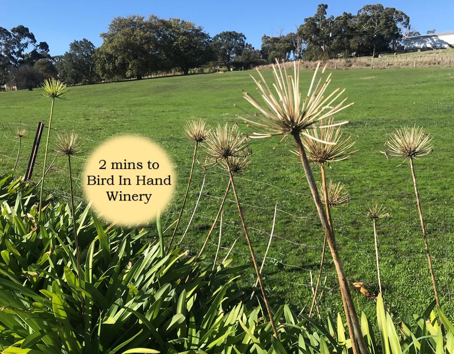 Harrogate SA Accommodation Guide