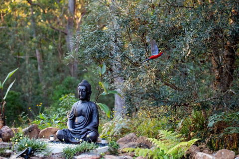 Dorrigo Bush Pepper Retreat - Accommodation Asia 4