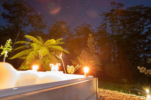 Dorrigo Bush Pepper Retreat - Accommodation Asia 2