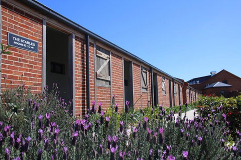 Dusty Hill Vineyard - Moffatdale - Accommodation Asia 0
