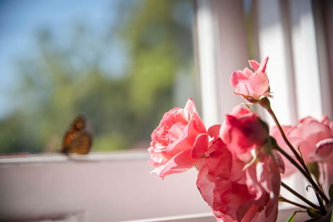 Dwellingup Retreat - Accommodation Guide 3