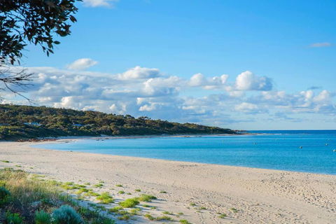 Eagle Bay Summerhaus - Accommodation Asia 1