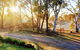 Eco - Relax And Unwind - Greenwich Park - thumb 0